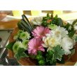 沖縄県うるま市ローズの香の花　スプリングブリーズ