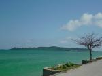 海～！！|「ローズの香」　（沖縄県うるま市の花屋）のブログ