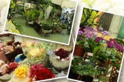 「ローズの香」　（沖縄県うるま市）の花屋店舗写真2